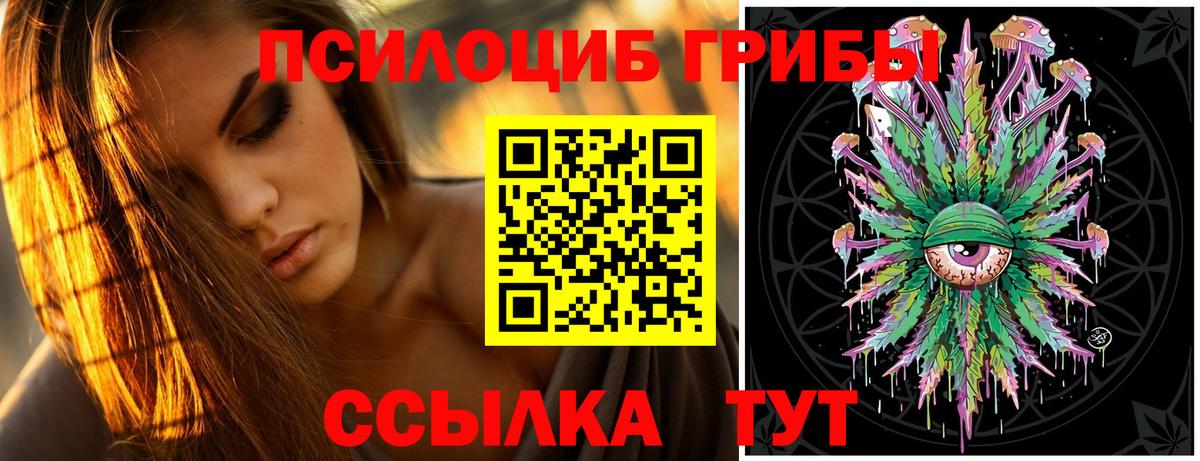 Сухой Лог  Галлюциногенные грибы GOLDEN TEACHER  Вход с VPN 