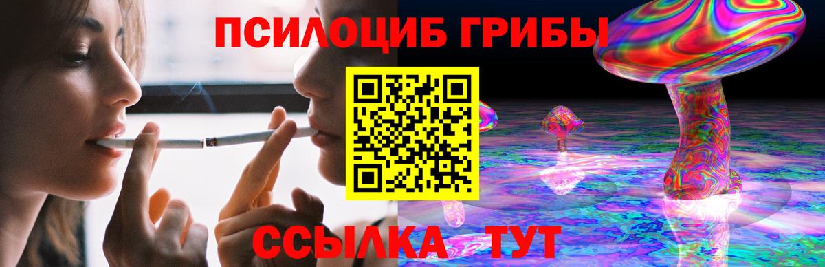 Галлюциногенные грибы GOLDEN TEACHER Сухой Лог